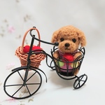 ～自転車に乗ってお買い物～　🍎トイプードル