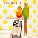 スマホ用携帯止まり木（小鳥用グッズ）文鳥、セキセイインコ、オカメインコ、ウロコインコなどに♪とまり木、ケージ、インコグッズ