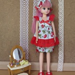 22ｃｍ( リカちゃん サイズ)ドール服セット