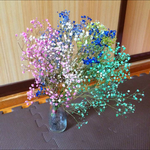 ドライフラワーかすみ草☆花束カラーmix