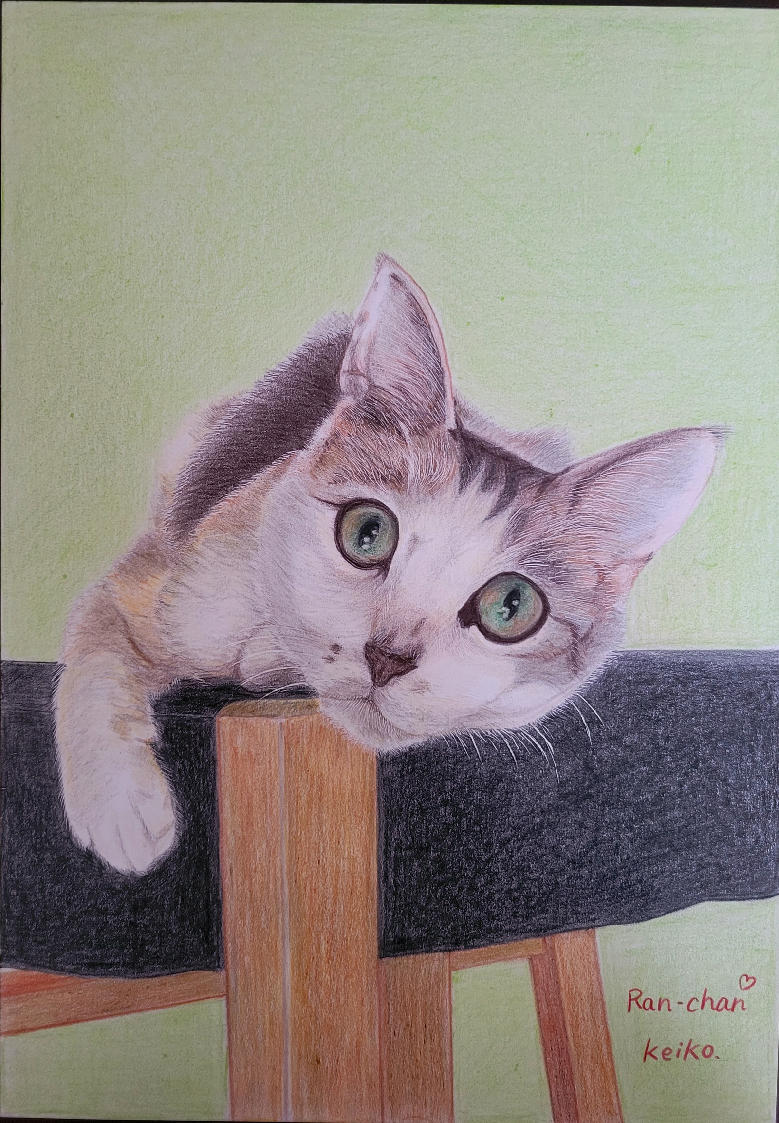 色鉛筆画✭愛猫愛犬✭ペット似顔絵　オーダー受付　ページです♪1 色鉛筆画✭愛猫愛犬✭ペット似顔絵 オーダー受付 ページです♪1 絵画