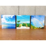 【大きいサイズ 25cm×25cm、3枚セット販売】沖縄を感じるフォトパネル