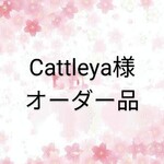 Cattleya様オーダー品【復刻版初代リカちゃん】※白のフリルスカート※リカちゃん 服