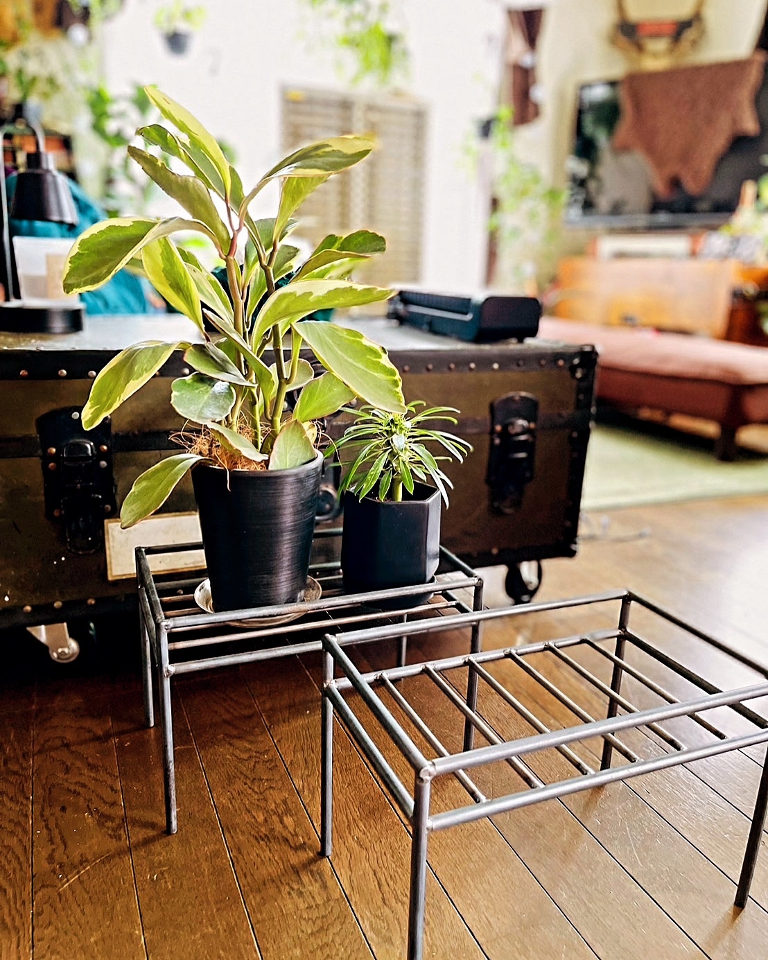 アイアンシェルフアイアンテーブル観葉植物植物棚鉄家具ハンドメイド