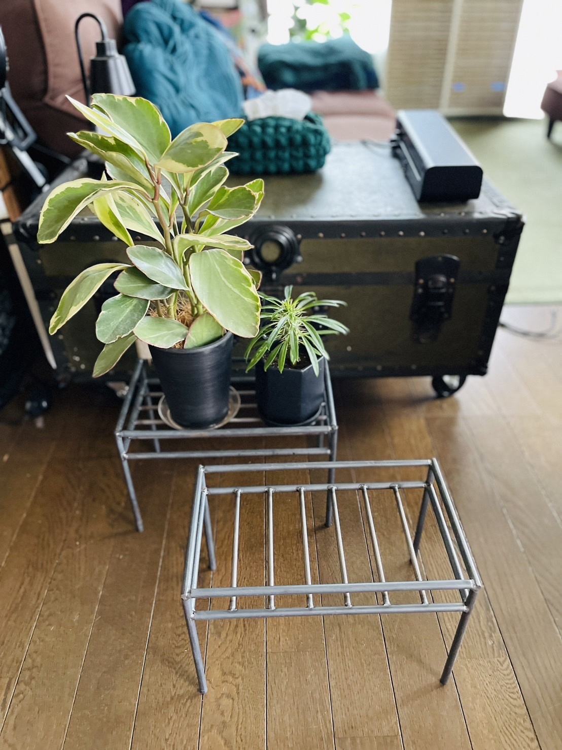 観葉植物ラック アイアン家具 グリーンラック オーダーメイド