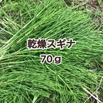無農薬 乾燥スギナ スギナドライ 100ｇ