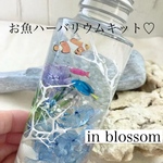 夏休み限定✳︎お魚ハーバリウムトライアルキット 100ml 