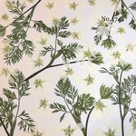 ♡new♡作家様必見♡ 可愛いオルレアお花がいっぱい♡ 押し花セット