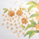 オリジナル★7mm金木犀　お花のガラスビーズ  キンモクセイ　ベージュオレンジ