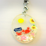 カニ親子の夏休み