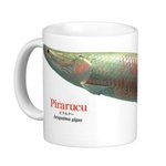 ピラルクーのマグカップ：フォトマグ（世界の熱帯魚シリーズ）