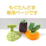 もぐたんさま専用ページです