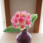 ドイツ生まれの華やかな紫陽花ミニ✿ ちょこっとさん
