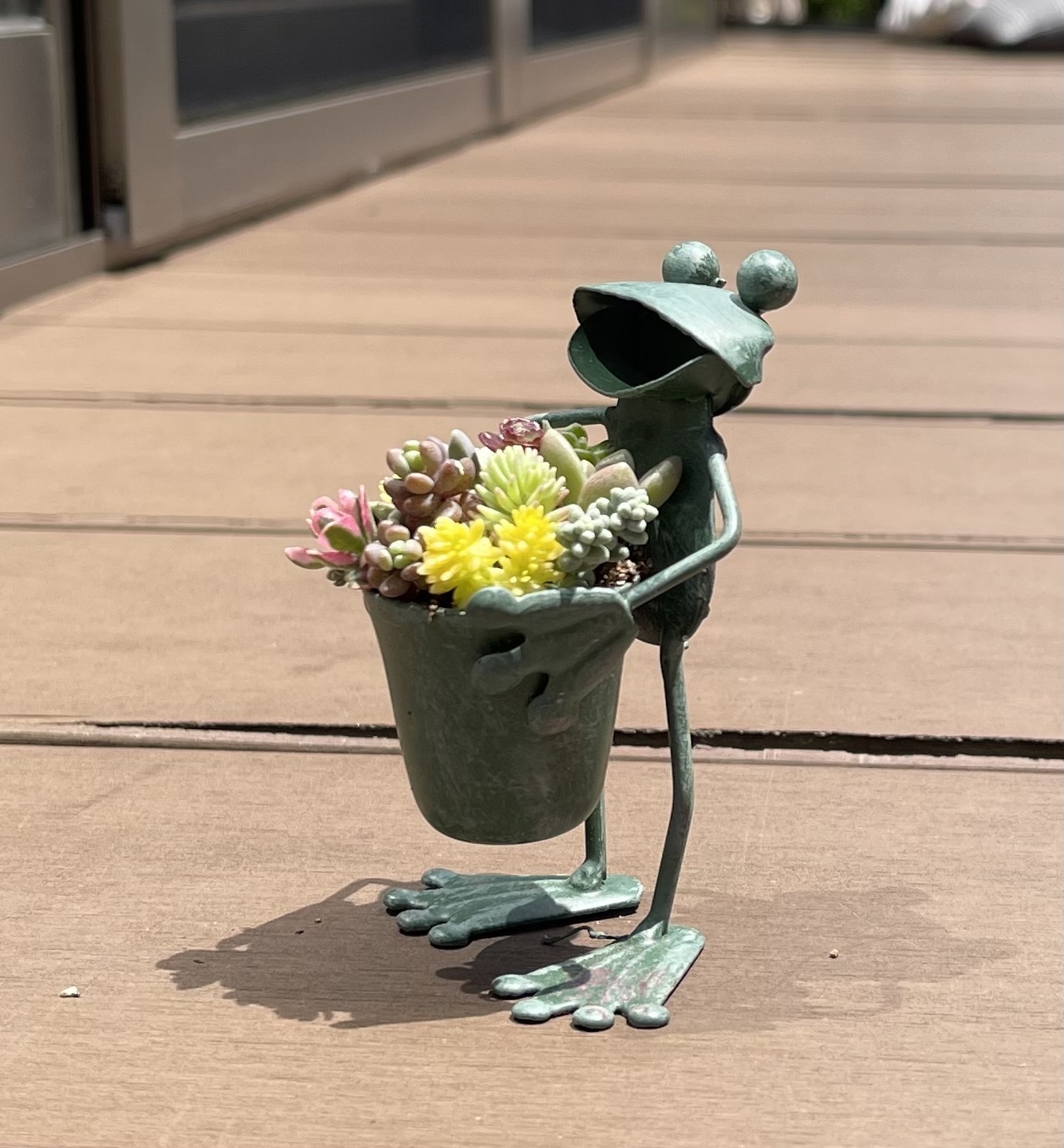 多肉植物 寄せ植え そのまま飾れる ブリキのカエルちゃん ΘωΘ 