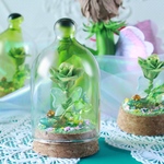 Fairy Rose-Lepracaun-
