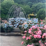 g-382085様オーダーあごのせ