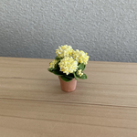 紫陽花　イエロー