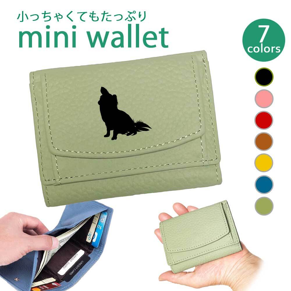 scoin-tiwawa01a.jpg