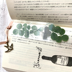 しおり𖦥𖤣四つ葉さがしの透明しおり　四つ葉探しの遊び心と幸せの予感　プチギフト　ラッピング無料