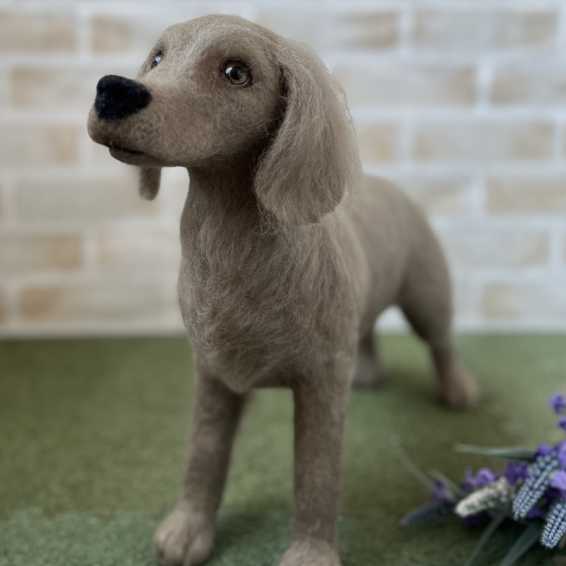 ハンドメイド　犬服　チョコダップル gelato pique 犬 服 「CAT＆DOG」ダックスフンドサイズアイス柄