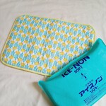 アイスノンカバー  