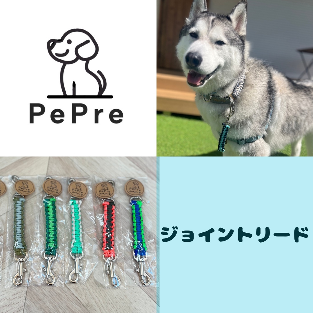 ジョイントリード 首輪のすっぽり抜け防止！！ - PePre【ぺプレ