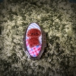 ピルケース ＃19 仕切りなし わんこ 刺繍アップリケ プードル