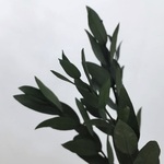 ユーカリ＊グリーン☆送料無料＆4点毎に1点おまけ付き♡ 