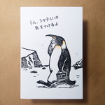 ペンギン父さん