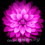 cocoro様専用ページ