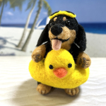 夏☀️アヒルの浮き輪で🐥ぷかぷかミニチュアダックスちゃん(羊毛フェルト)ブラックタン