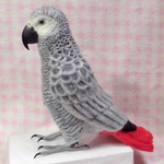 リアルサイズ ヨウム  Wool figure Real size  Gray parrot  Stuffed wool 灰鸚鵡 現實大小 羊毛フェルト 羊毛インコ 大型インコ オウム