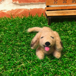 へとへとダックス♫ 犬 羊毛フェルト
