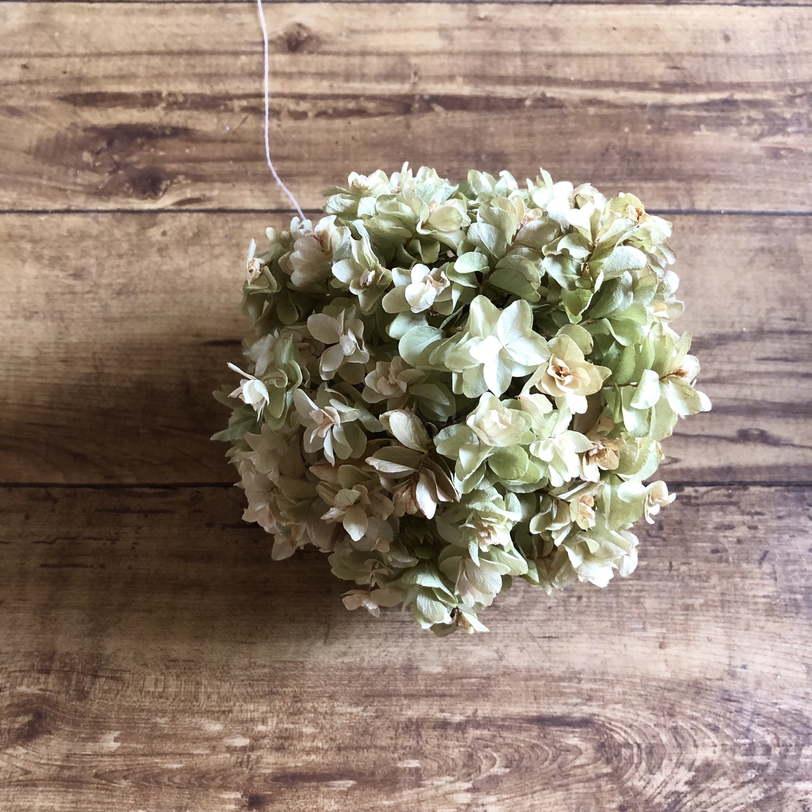 スモークツリー と紫陽花の3連ボールガーランド　千鳥草　フランネルフラワー 予約販売】スモークツリー 紫陽花 フラワーボール 3玉セット ドライ