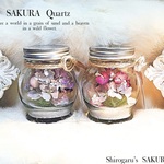 雛桜…Quartz 