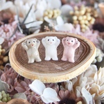かわいいって言われたくないくまピアス/イヤリング◇12/7夜再販します