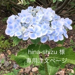 hina-shizu 様専用注文ページ・Sサイズシャビーテイスト背板・D 30cm・Ｈ70cm(白)＊背板ぺたんと倒せる使用・わんちゃん撮影会用折り畳みベンチ
