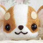 羊毛癒し犬『coco風チワワん』定形外郵便送料無料