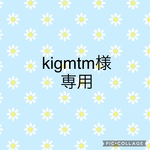 kigmtm様専用　犬バレッタ　インド刺繍リボン