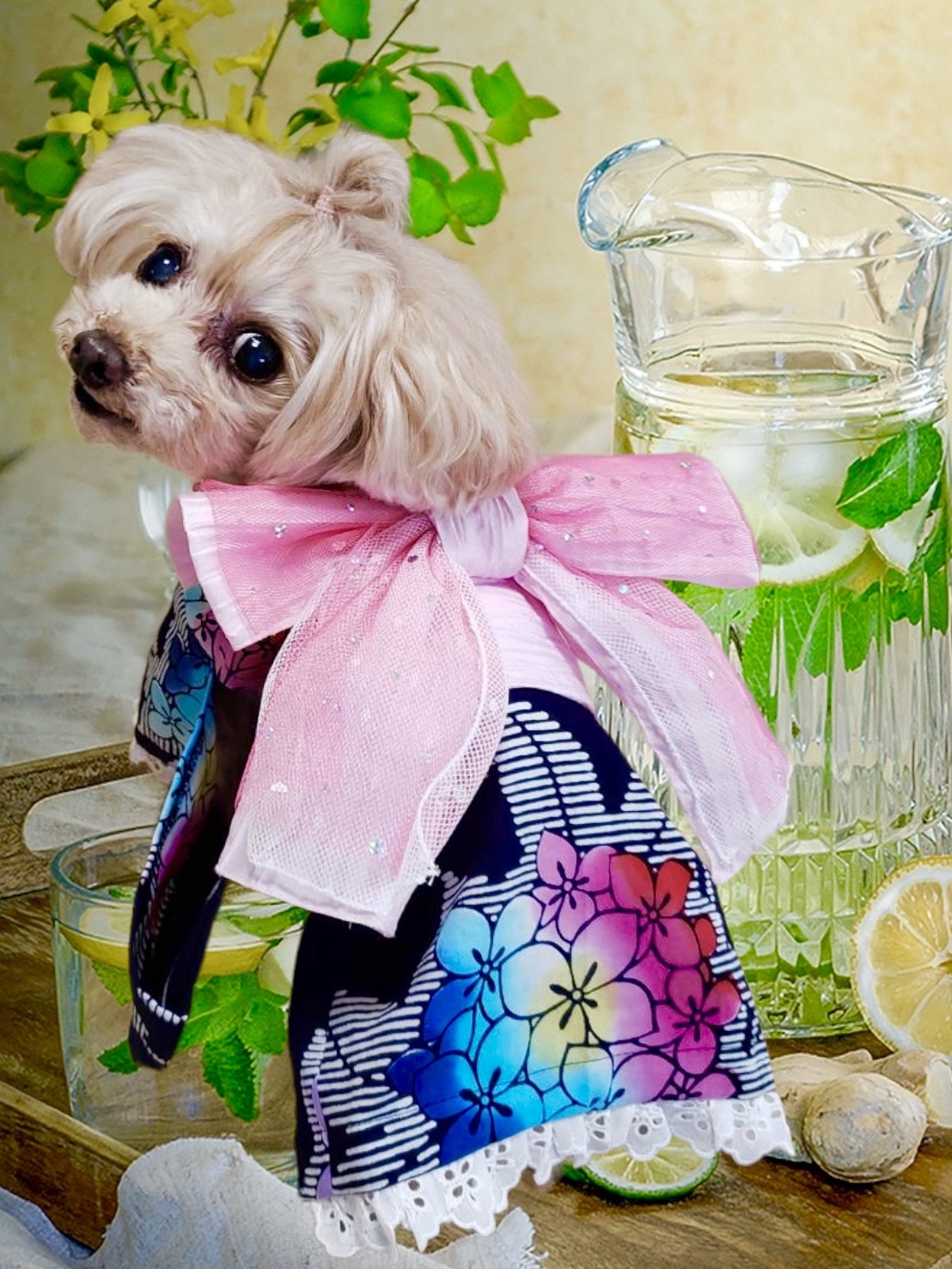 ハンドメイド犬服　あじさい 犬 服 犬の服 春服用 名前入り あじさいワンピース フード