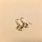 Four-leaf clover.［四つ葉のクローバー］
