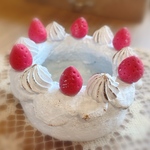 再販×3▪️モルタルケーキ▪️モルタルデコ▪️リメ缶▪️多肉植物寄せ植えに