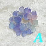 ✨ 幸せを呼ぶ！本物　紫陽花  ブローチ　パープルグラデーション 