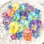 ドライフラワー 素材 花材 フリルビオラ