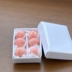 mid…様専用ページ