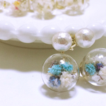 3.Cotton Pearl × Flower Dome(bluemix) ピアス/イヤリング