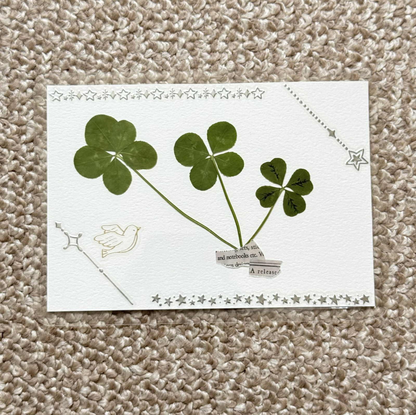 四つ葉 クローバー 押し花カード クリアフレーム入り - lucky clover