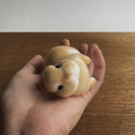 野生を忘れたうさぎ　