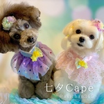 織姫と彦星っぽい【七夕Cape】祭り、バースデー、犬、猫、100日祝い、ハーフバースデー