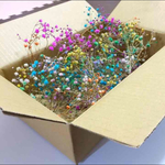 限定ドライフラワー☆枝福箱80本以上